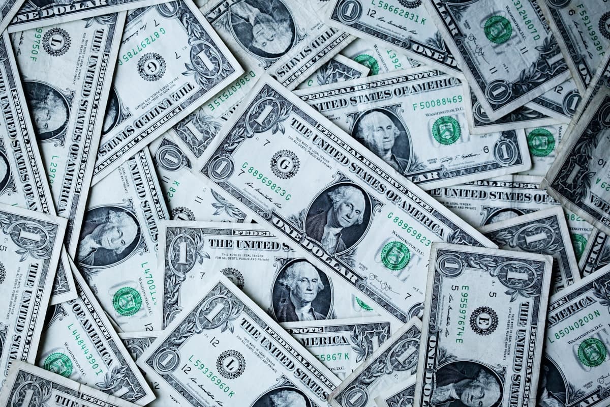 CAPITAL, FINANCING & BUSINESS EXPANSION